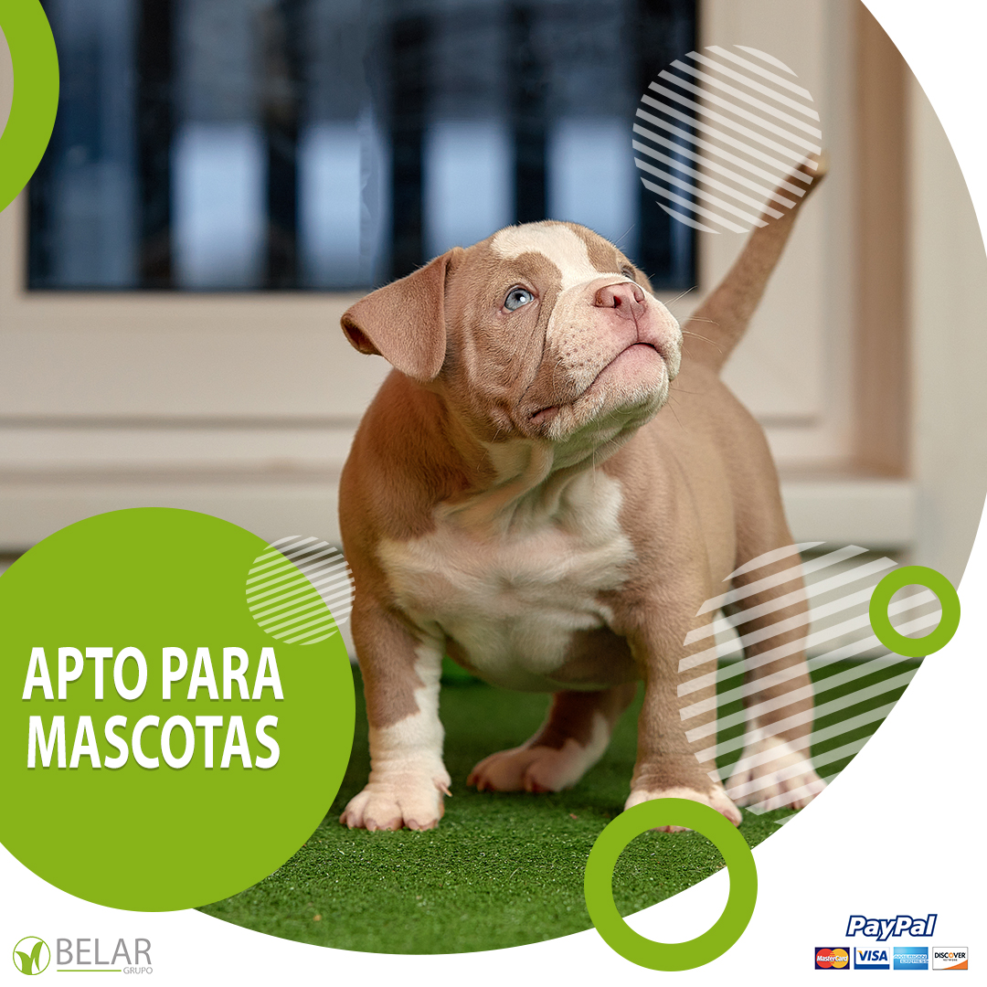 Promoción Black Friday Follaje