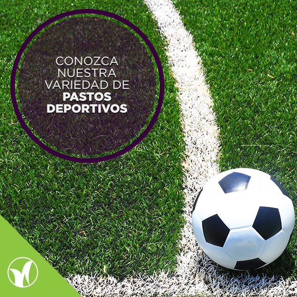 Promoción Black Friday Deck Premium